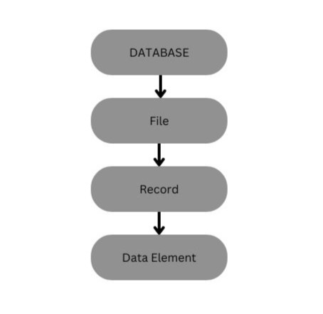 Database
